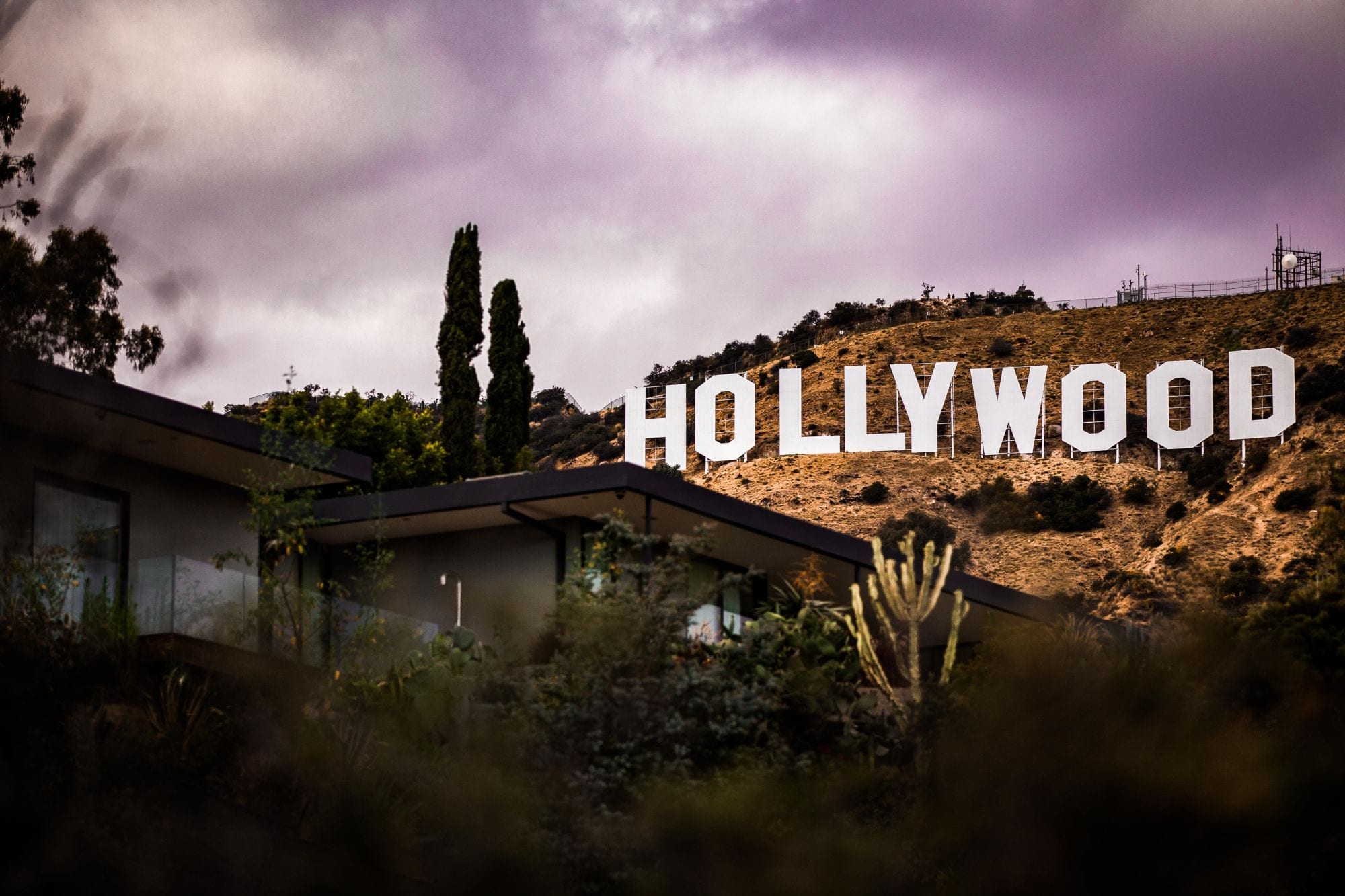 Hollywood sign, celebrities with nut allergies